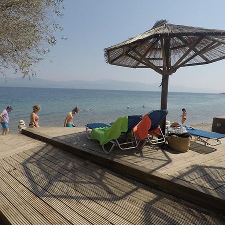 Florida Blue Bay Resort & Spa ซาโธเปียกอส ภายนอก รูปภาพ